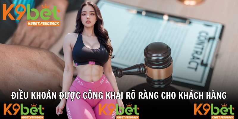 Điều khoản được công khai rõ ràng cho khách hàng