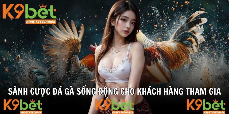 Sảnh cược đá gà sống động cho khách hàng tham gia