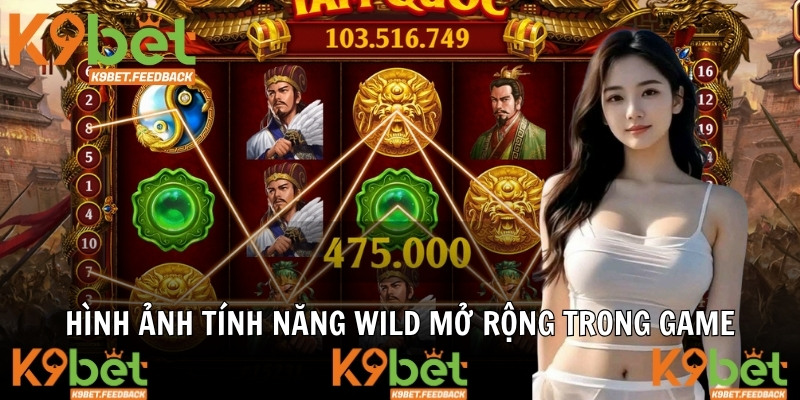 Hình ảnh tính năng Wild mở rộng trong game